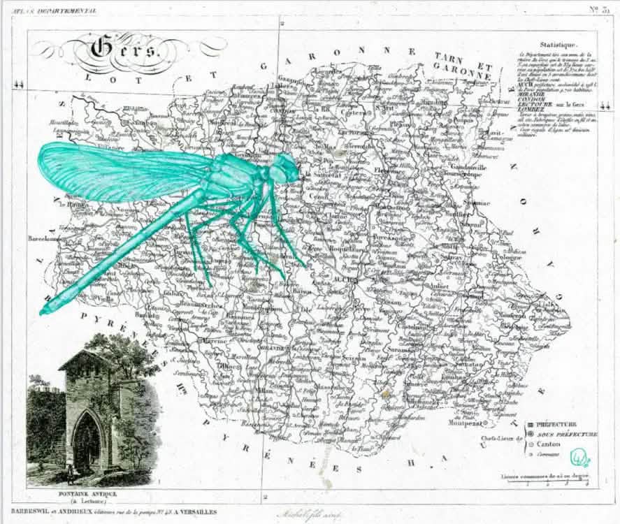 Image Armagnac Dartigalongue - De Michellot