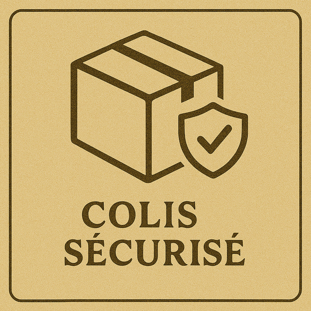 Icône vintage de colis protégé avec bouclier, style rétro en tons bruns.