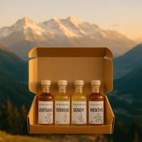 Quatre bouteilles de liqueurs artisanales De Michellot (Gentiane, Génépi, Verveine, Menthe) posées en pleine nature, avec vue sur les montagnes françaises et étiquettes fidèles au design d’origine.